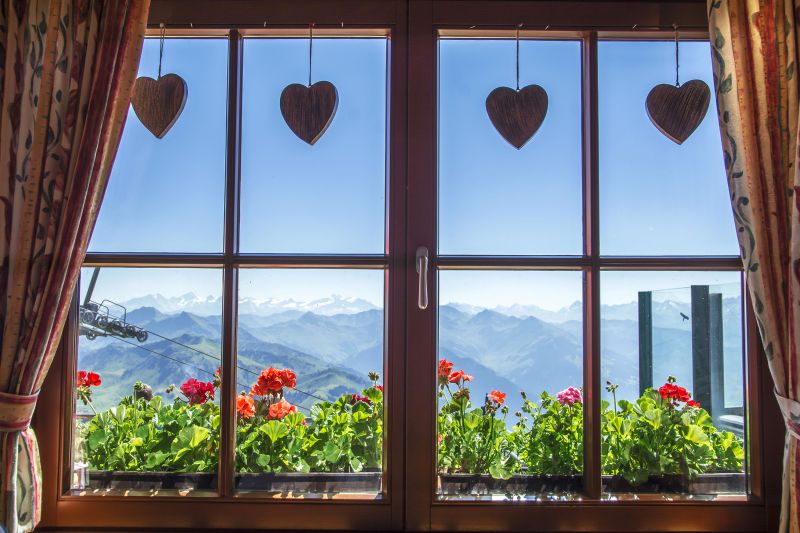 Window Frame Replacement